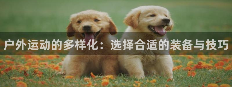 征途国际娱乐首页官网下载:户外运动的多样化:选择合适的装备与