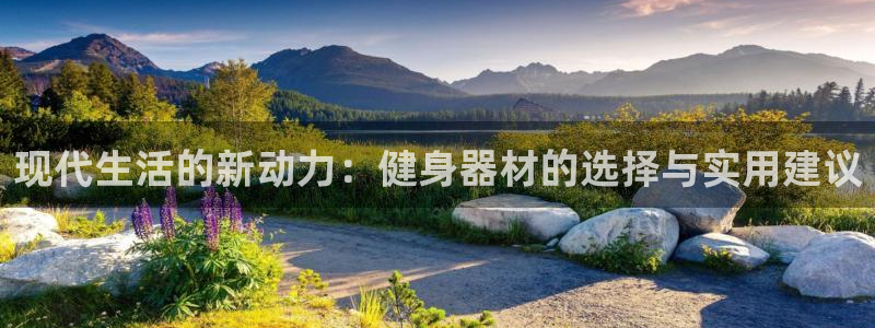 征途国际平台:现代生活的新动力:健身器材的选择与实用建议