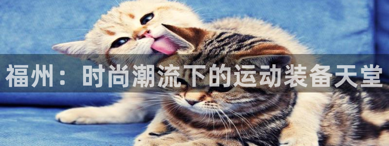 征途国际官方客服电话:福州:时尚潮流下的运动装备天堂