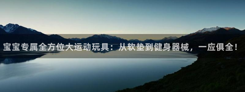 征途国际新能源:宝宝专属全方位大运动玩具:从软垫到健身器械,